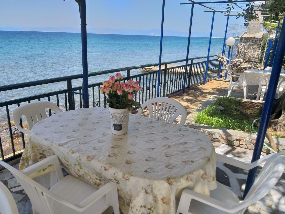 Sea View Bungalows Skála Kallirákhis 외부 사진